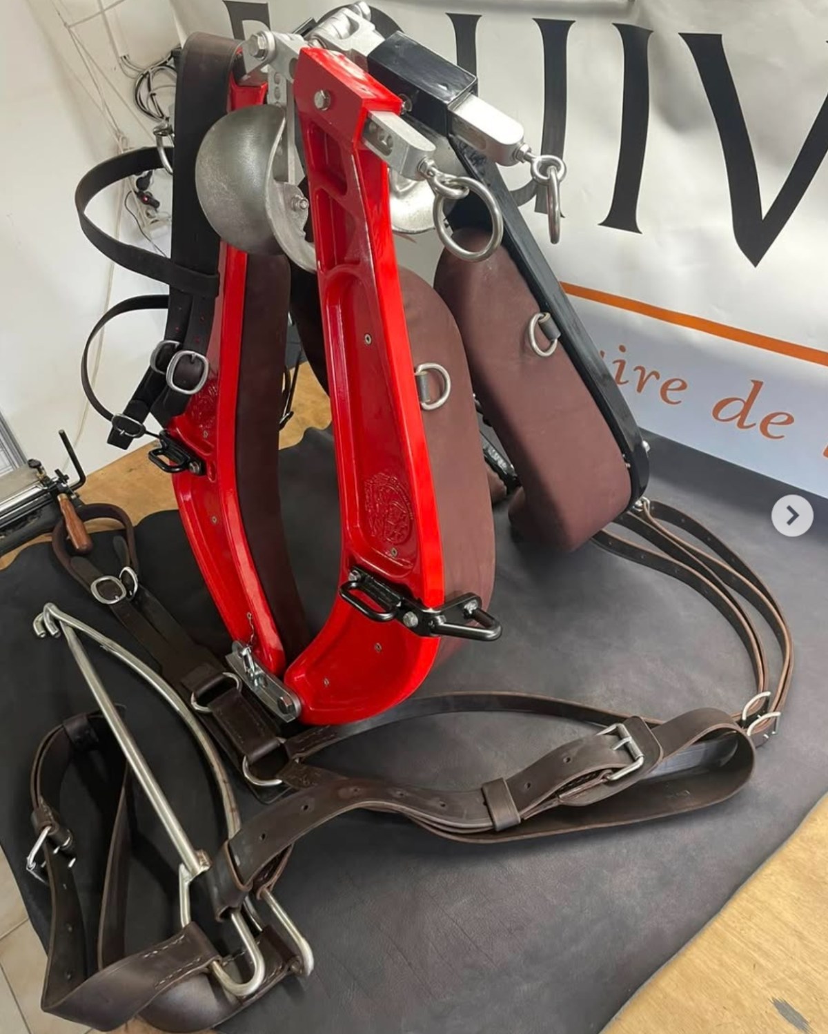 Actualités Printemps 2026